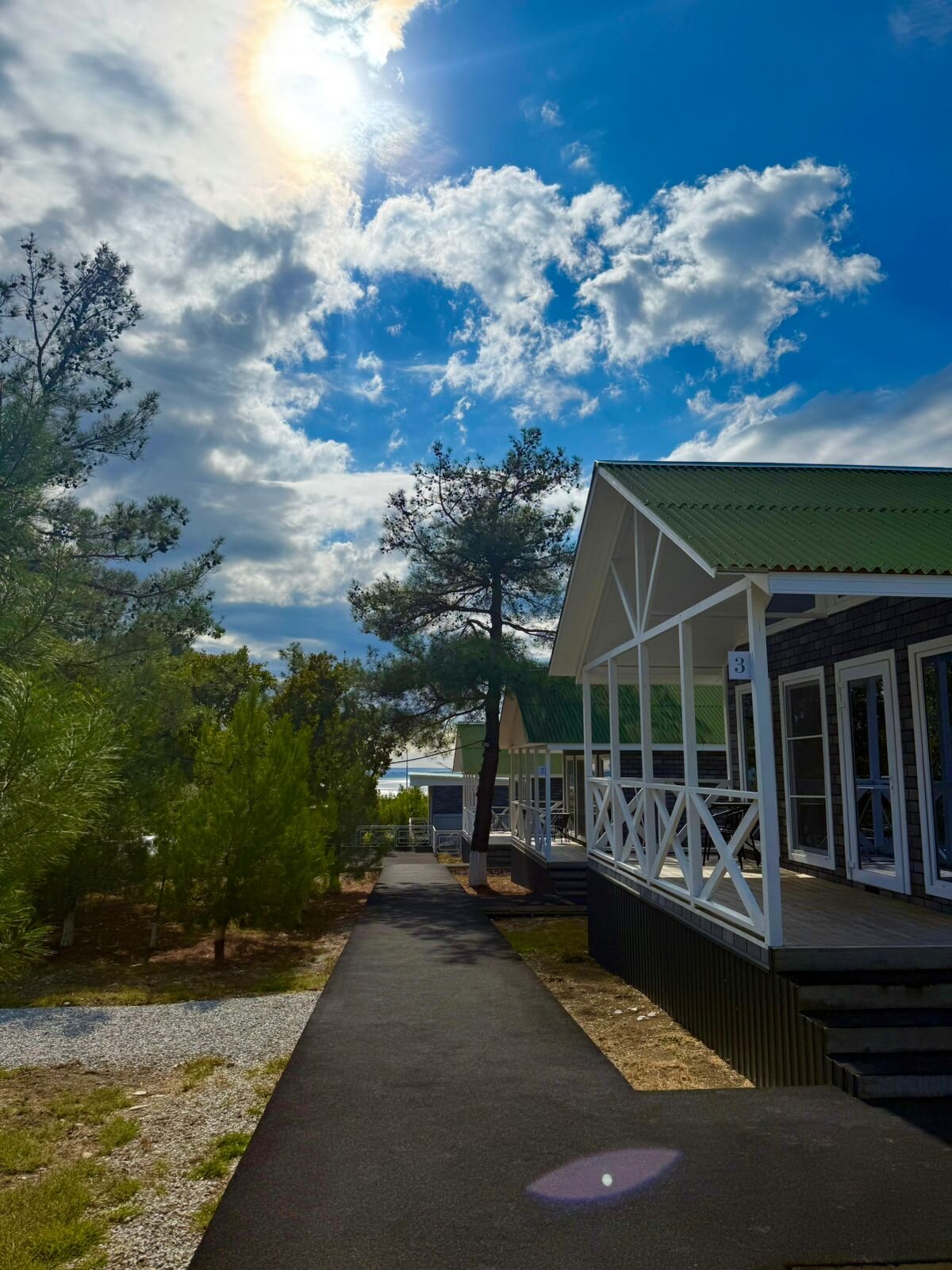 Фото Елки и Иголки