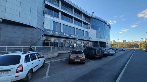 Жыныс мүшесін қайда салу керек?