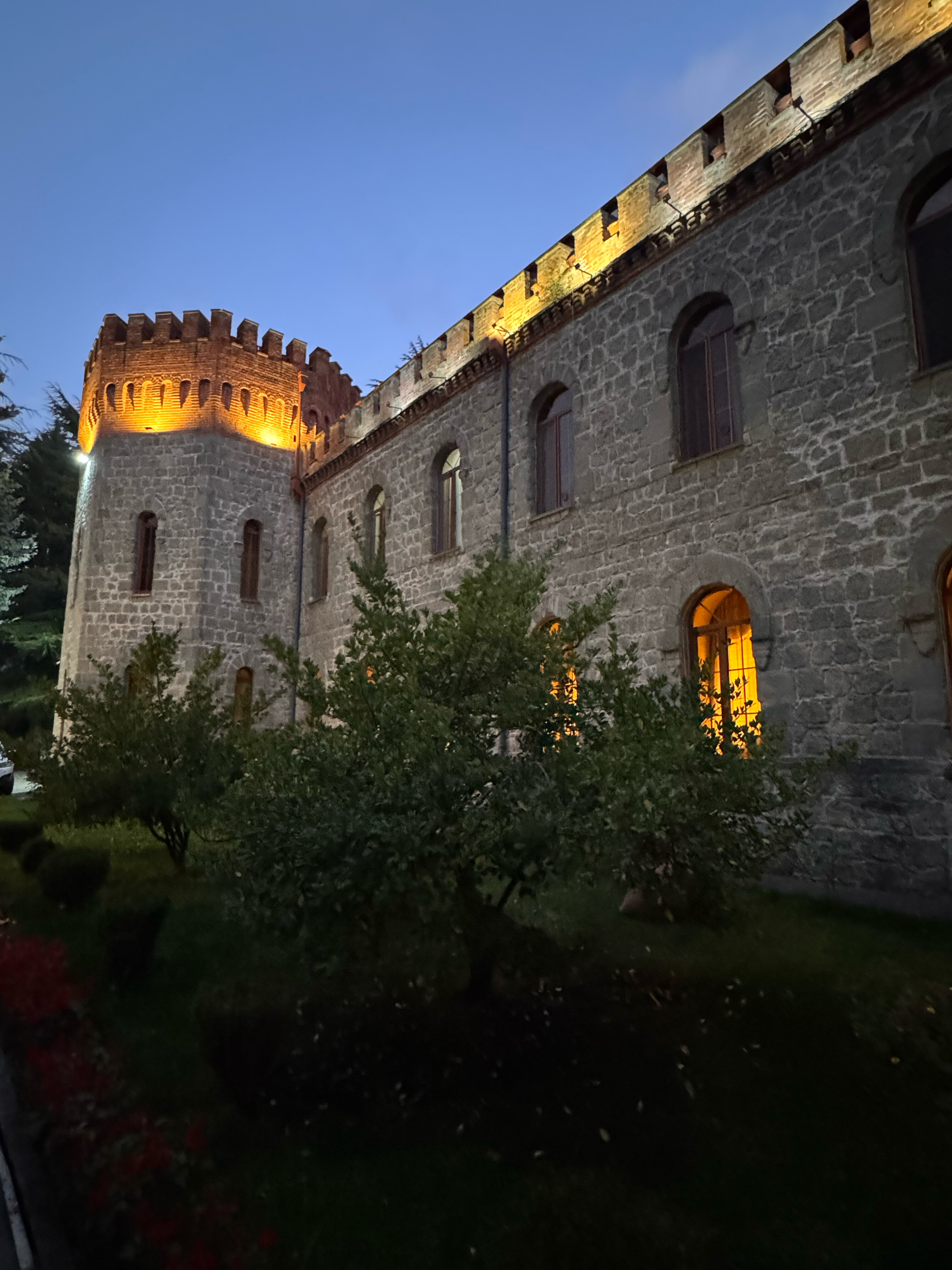 Фото Borjomi Palace