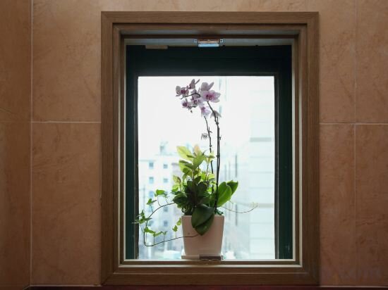 Фото Hotel Myeong-Dong