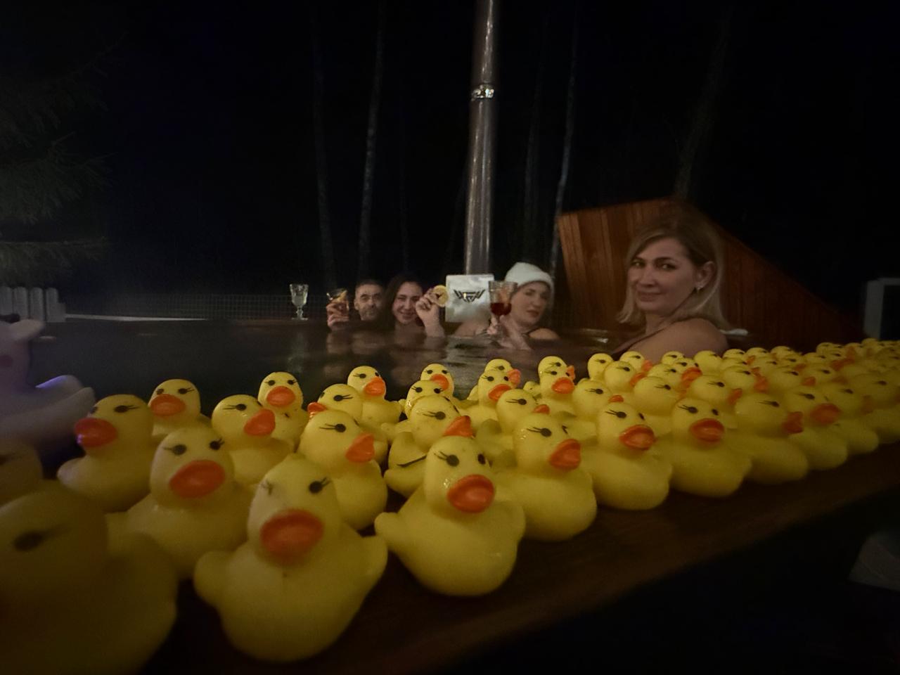 Фото У леса