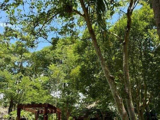 Фото 32994703636