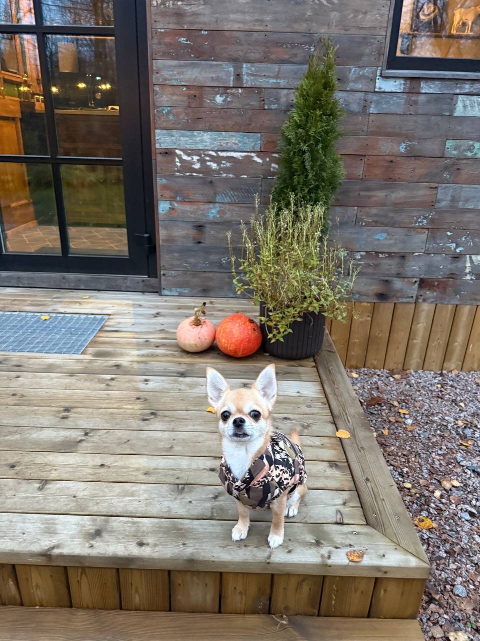 Фото Шапки дача