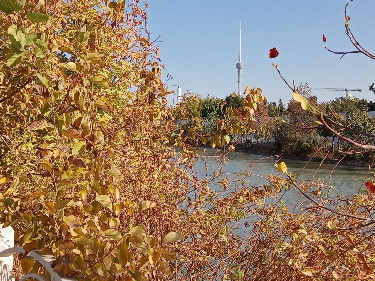 Фото Crowne Plaza