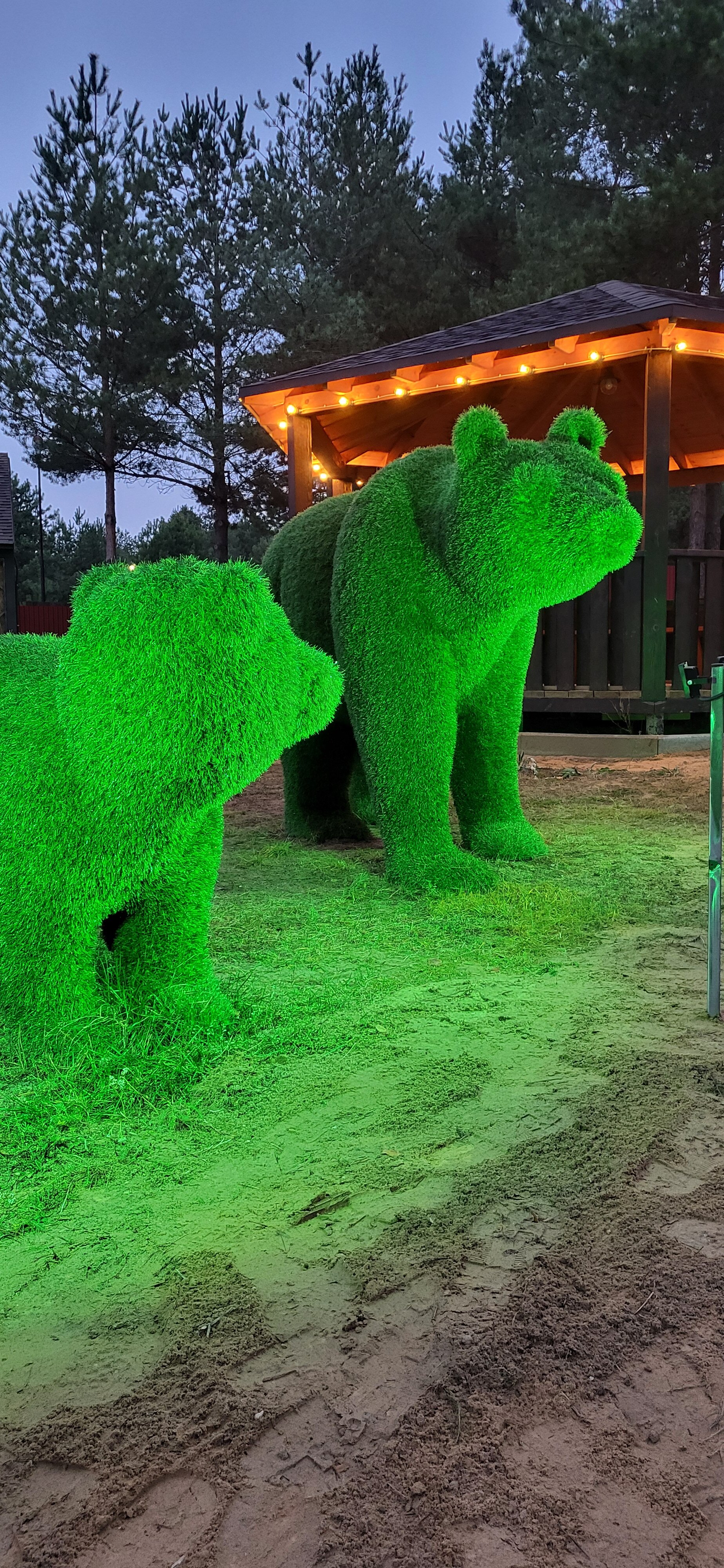 Фото Казарьград