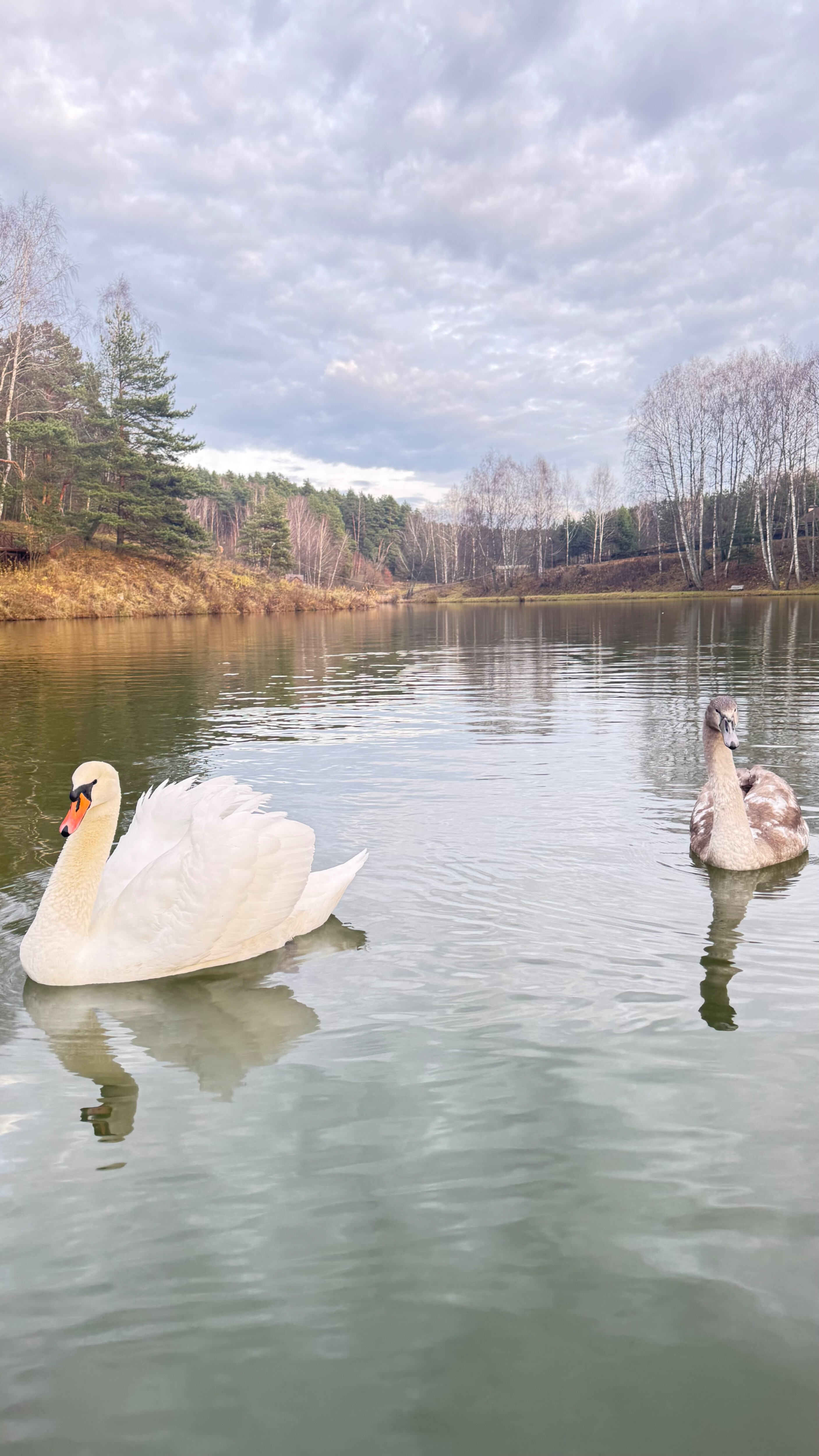 Фото Капитанский Остров 57