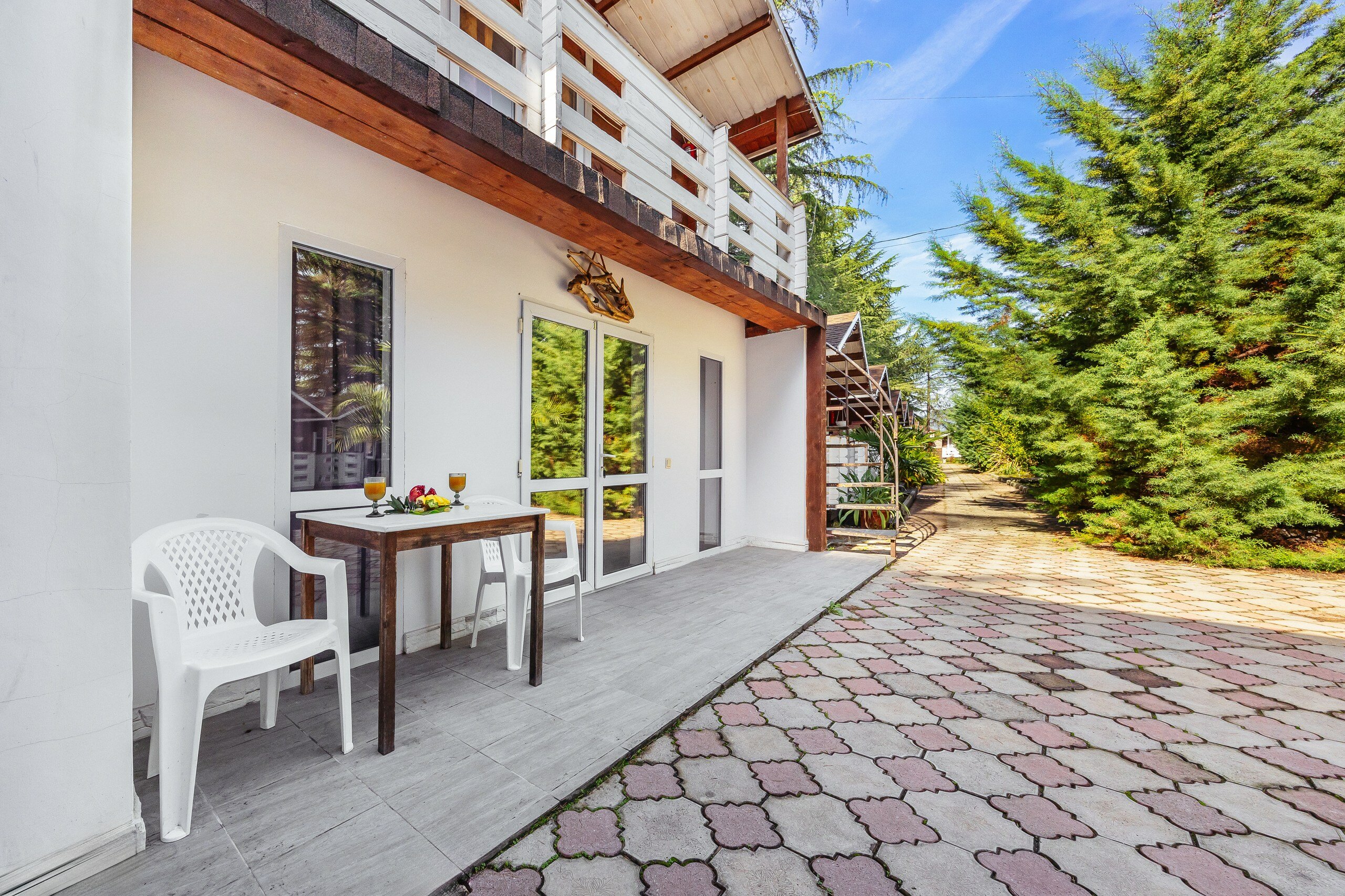 Фото Eco House Pitiunt