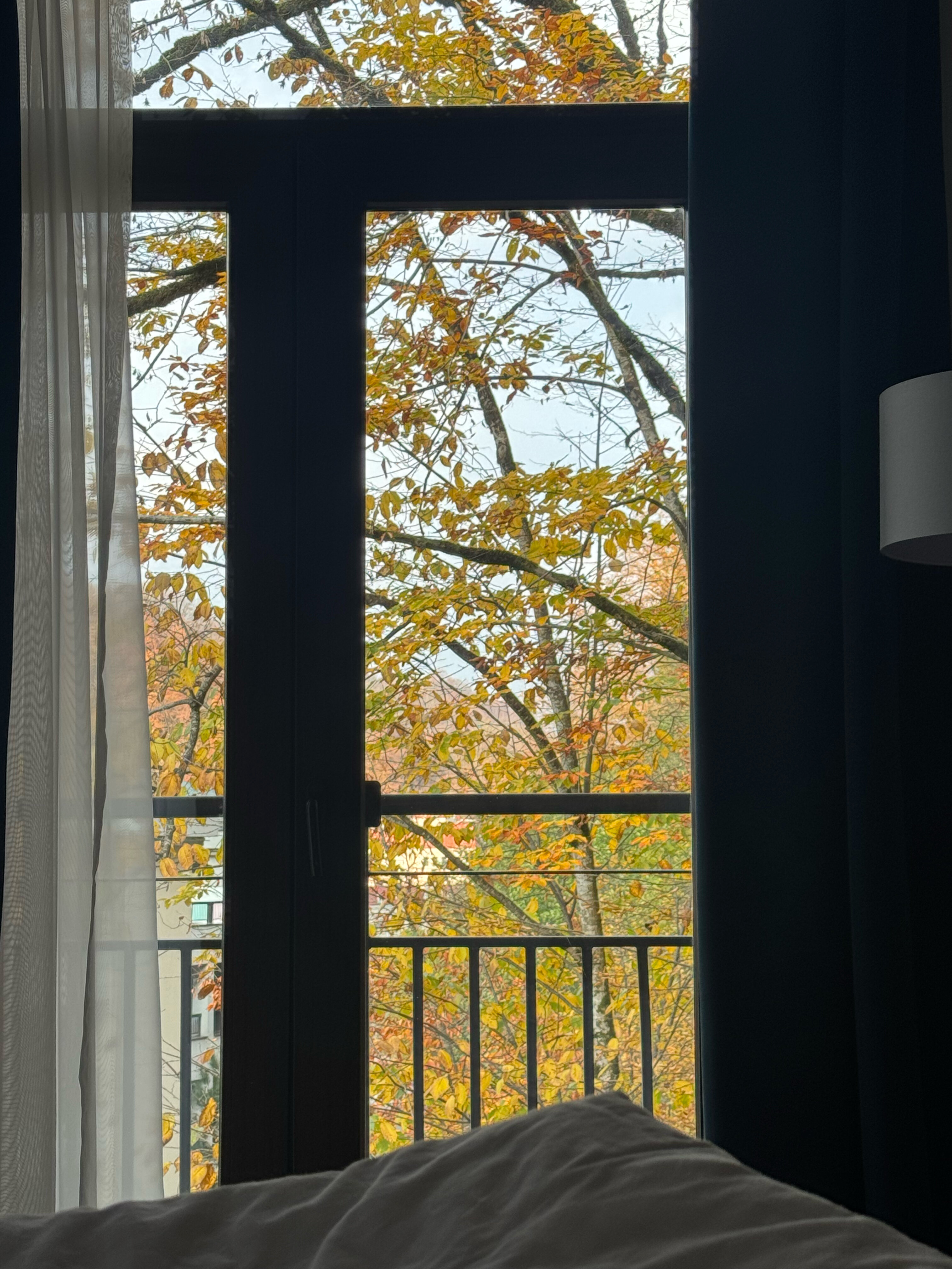 Фото Вальсет Центр