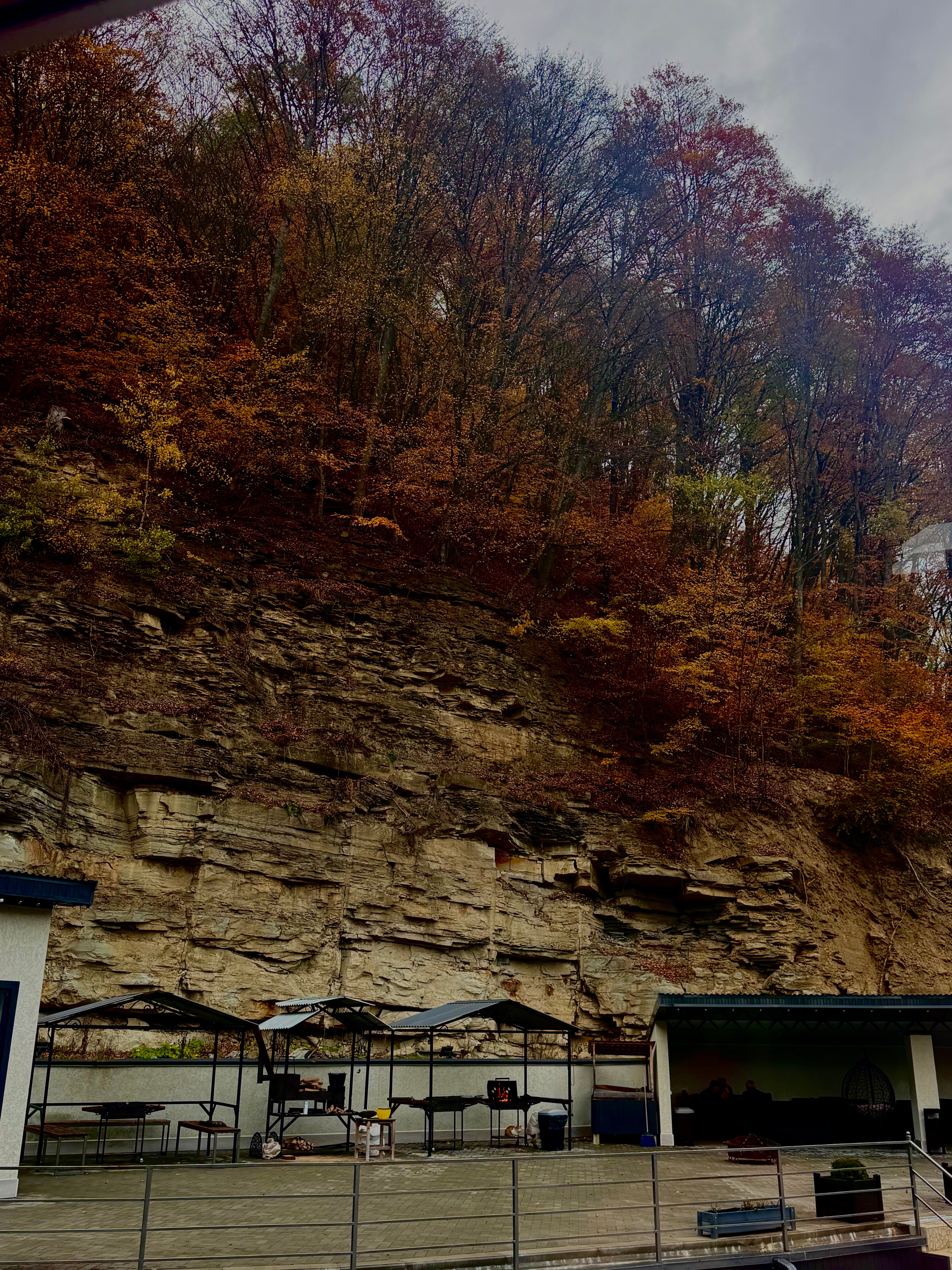 Фото СвяДанио