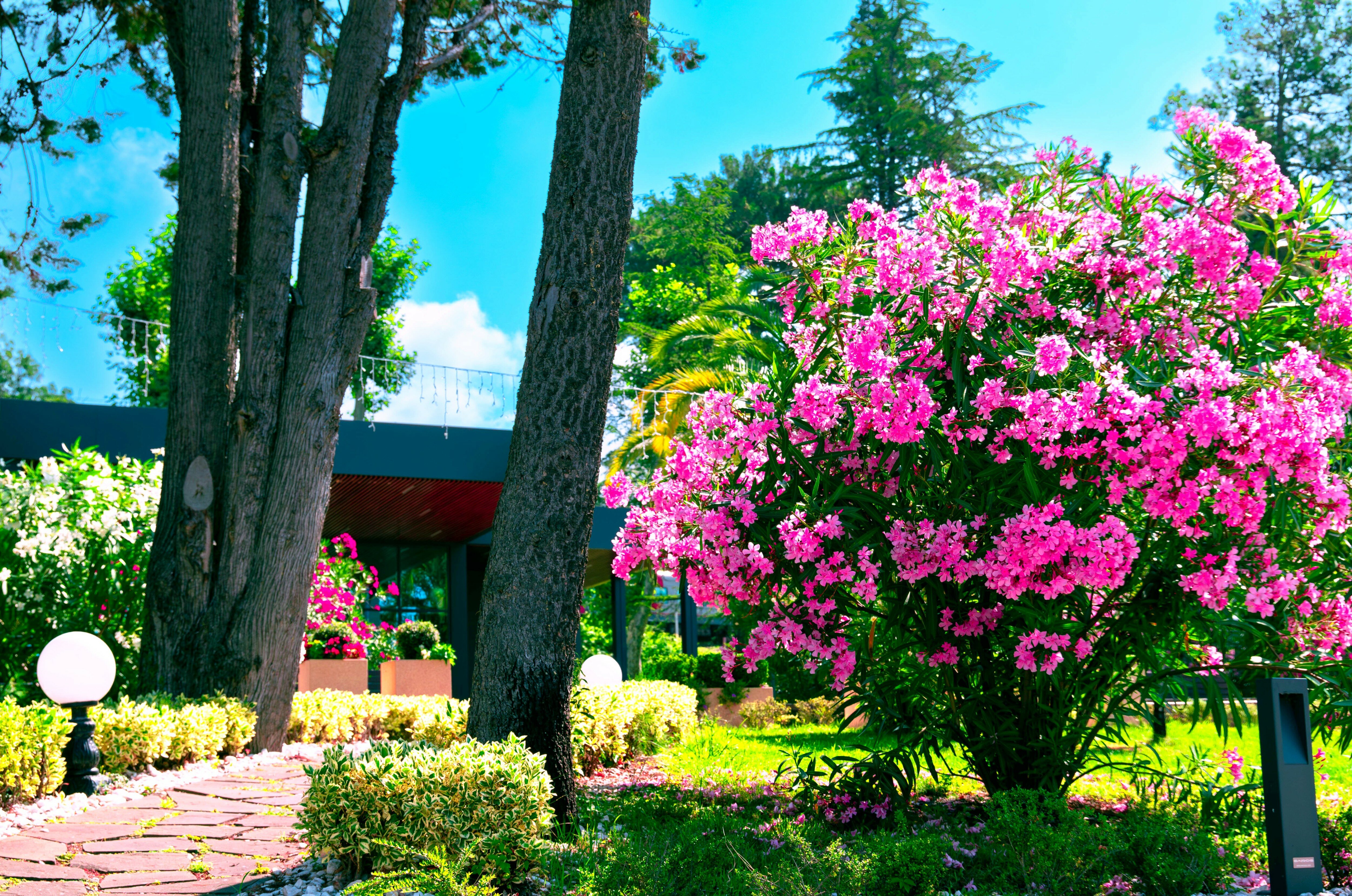 Фото Лазурные апартаменты