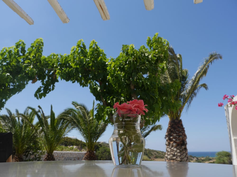 Фото Scala Apartments