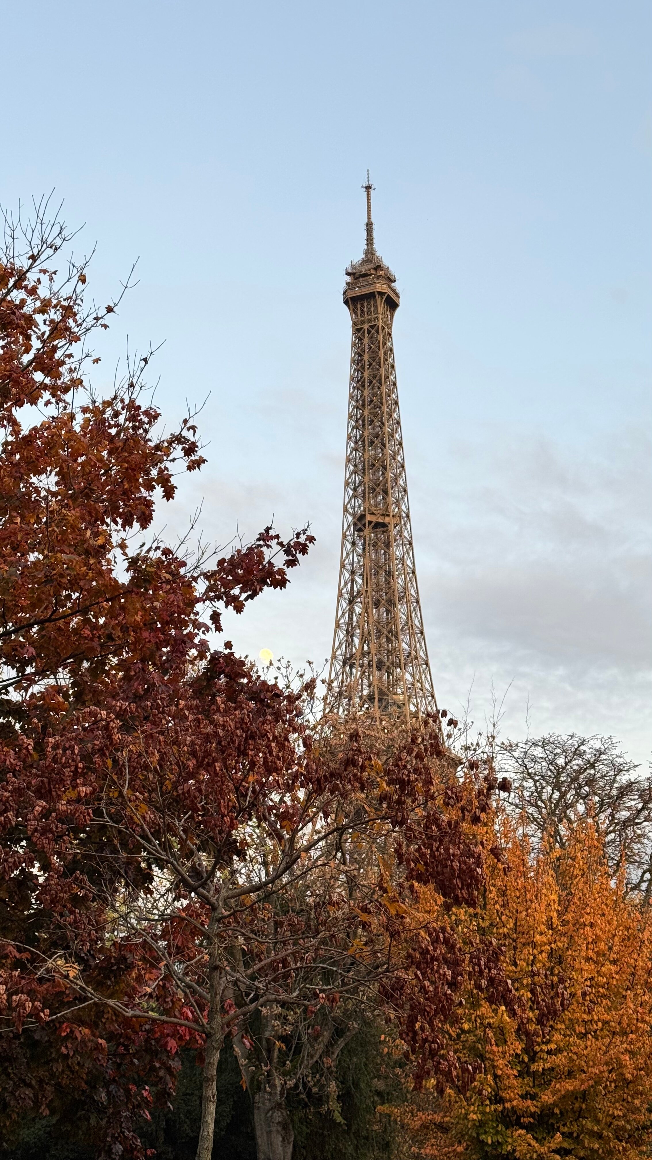 Фото Hotel Le Tourville Eiffel 