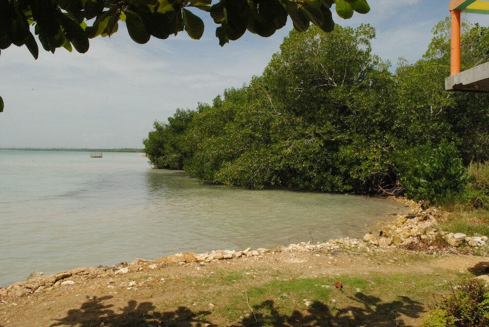 Фото Bluefields on the Bay