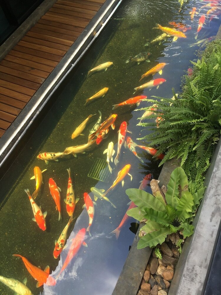 Фото Phetcharat Grand Hotel Maesot