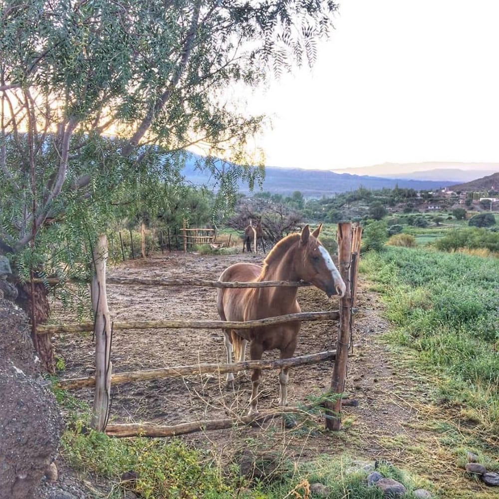 Фото La Merced del Alto