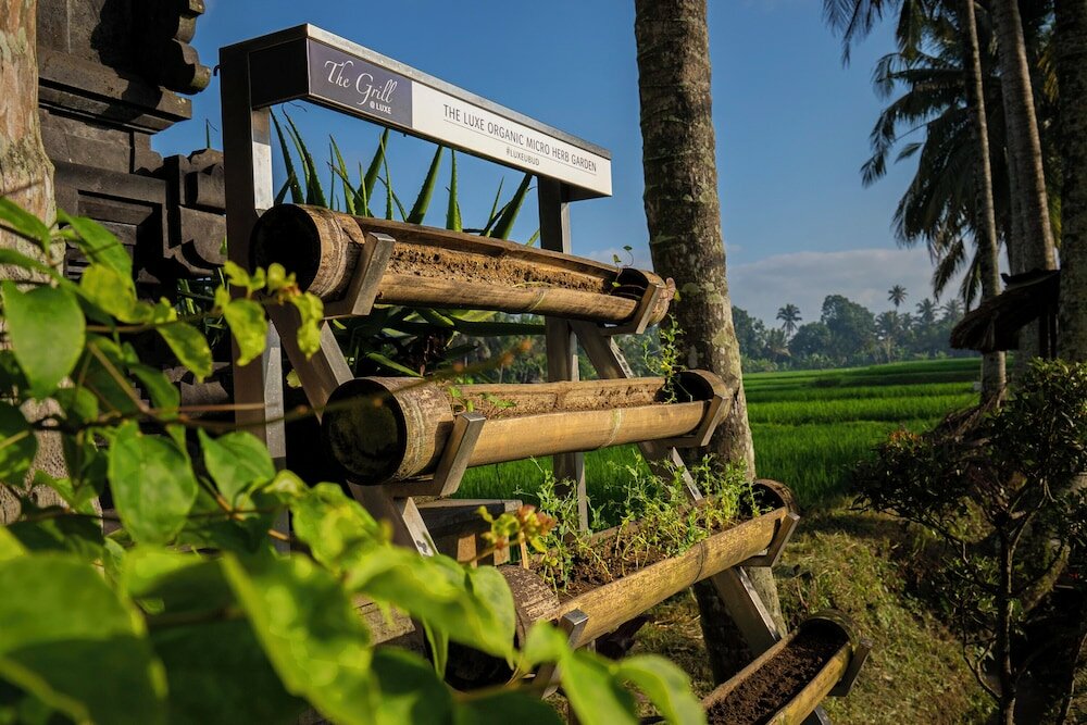 Фото Luxe Villas Bali