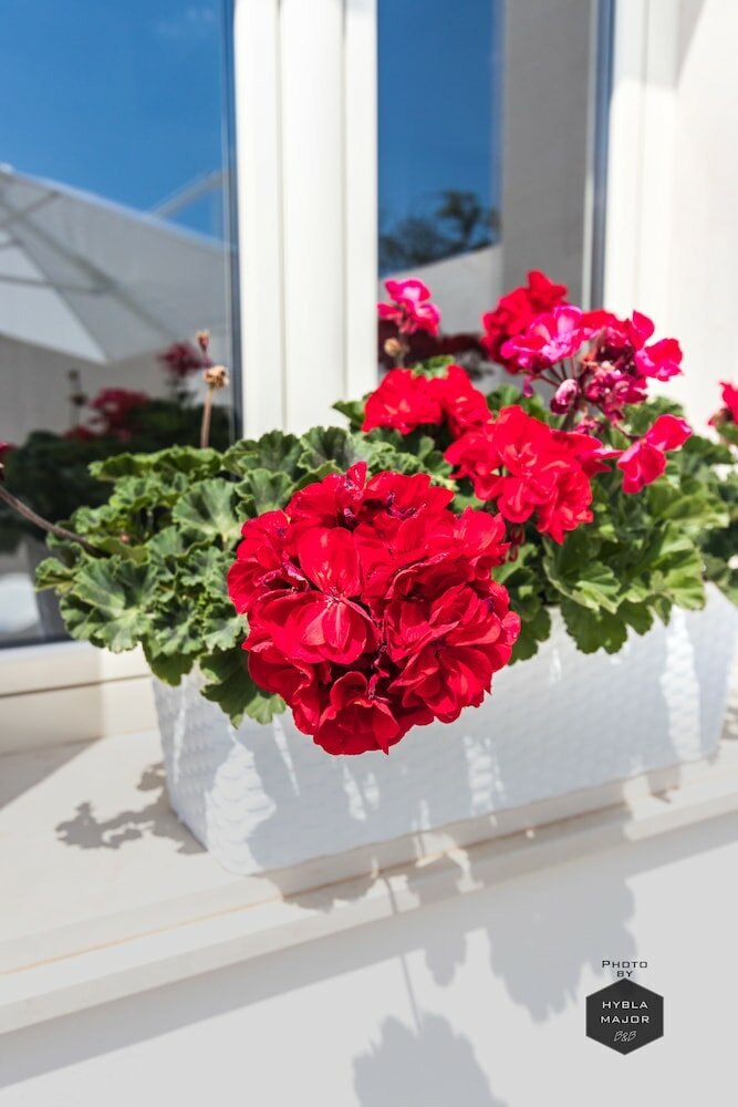 Фото Hybla Major B&b