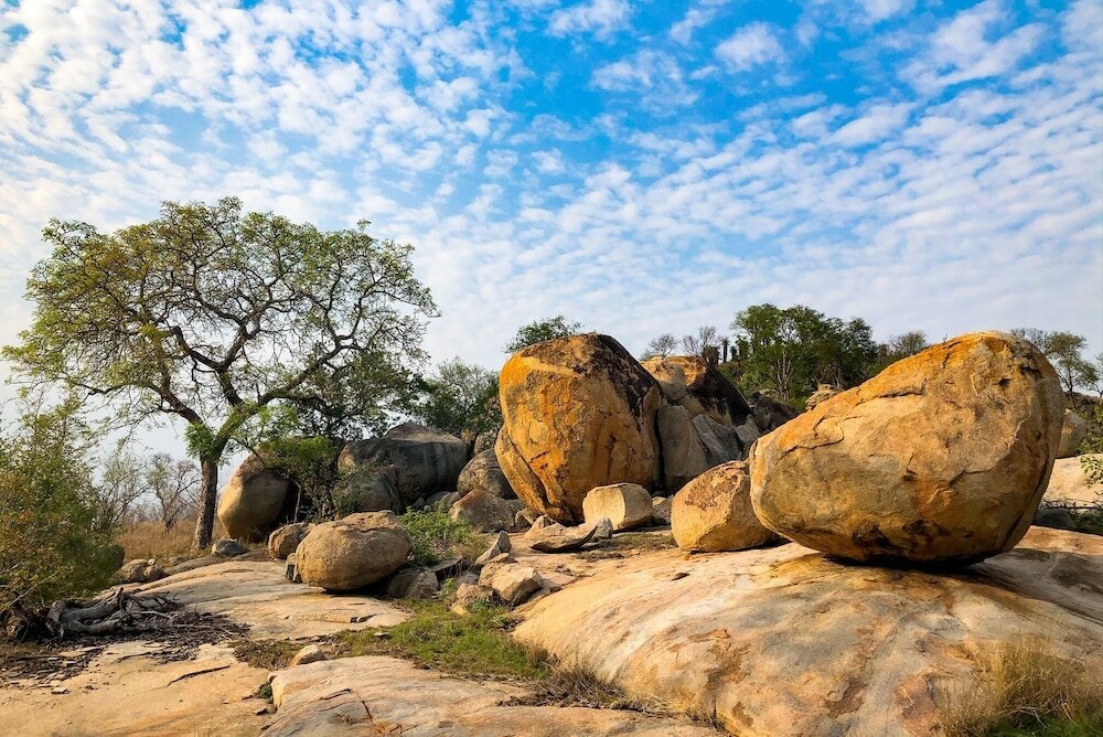 Фото Rhino Walking Safaris