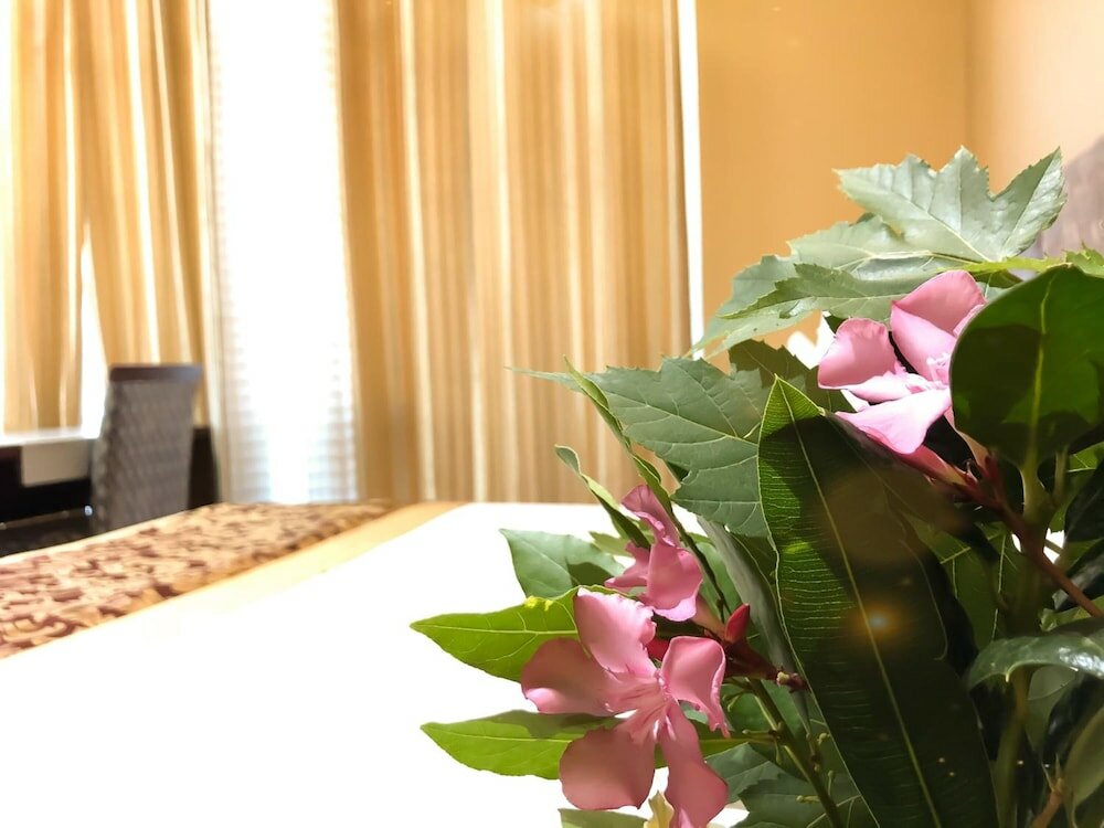 Фото Hotel Kompleksi Arifi