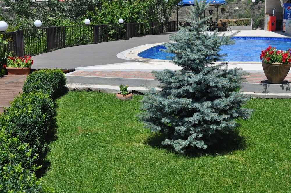 Фото Olympia Garden