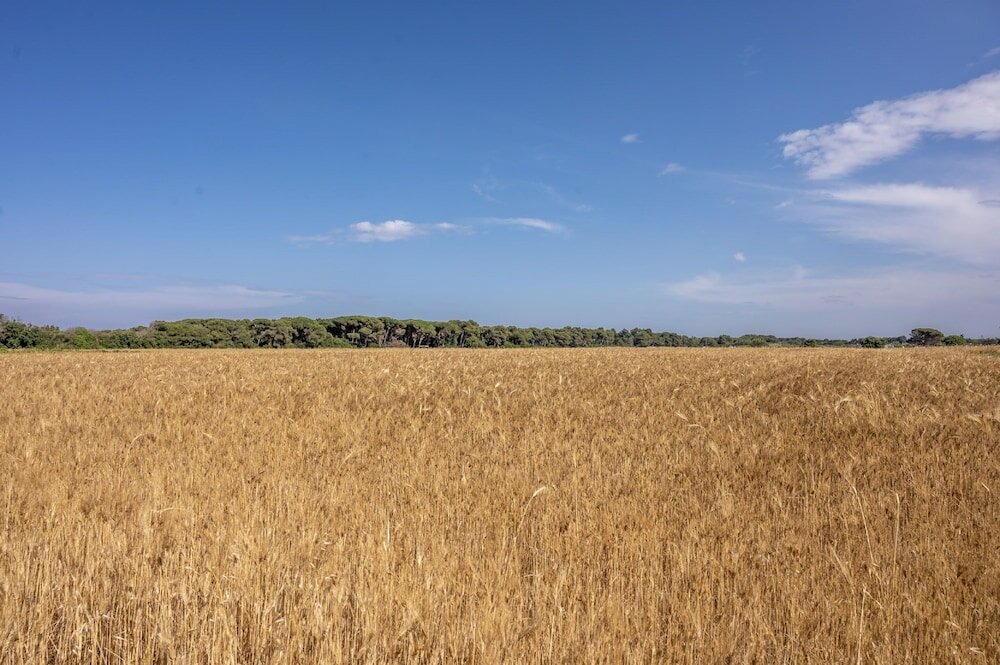 Фото Masseria Mongiò dell'Elefante