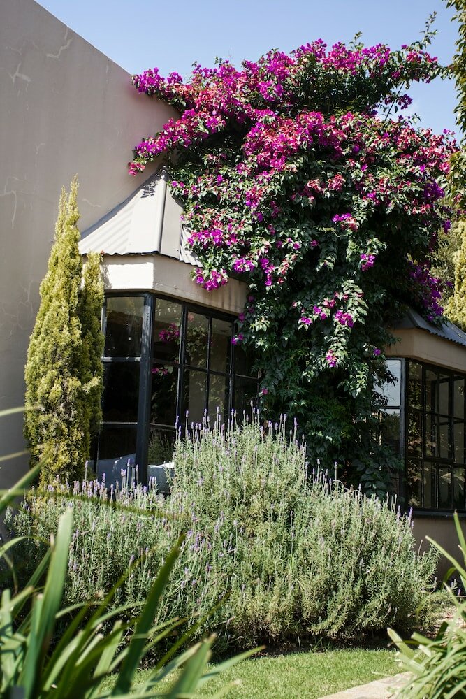 Фото Town and Country Guest House