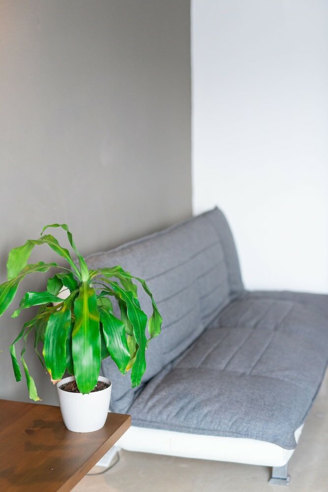 Фото Aquamarina Suites