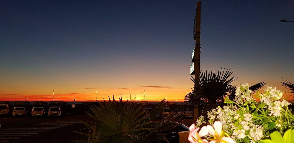 Фото Hôtel Windsor Front De Mer