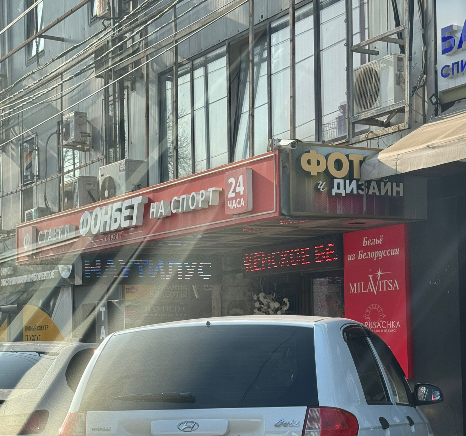 Фото Наутилус