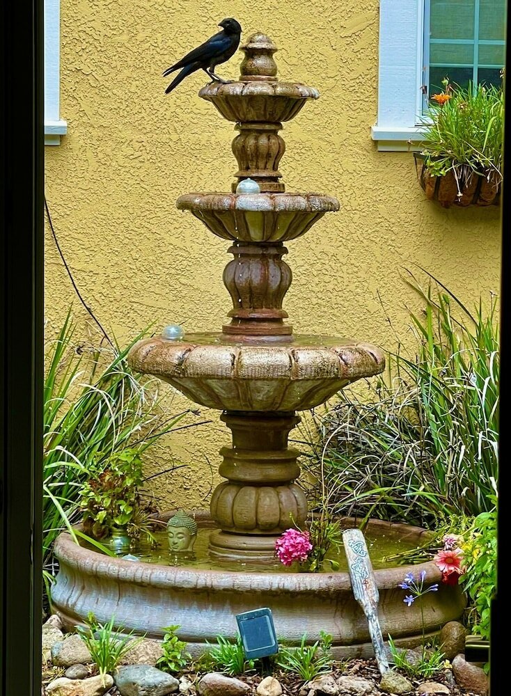 Фото Glen Ellen Inn