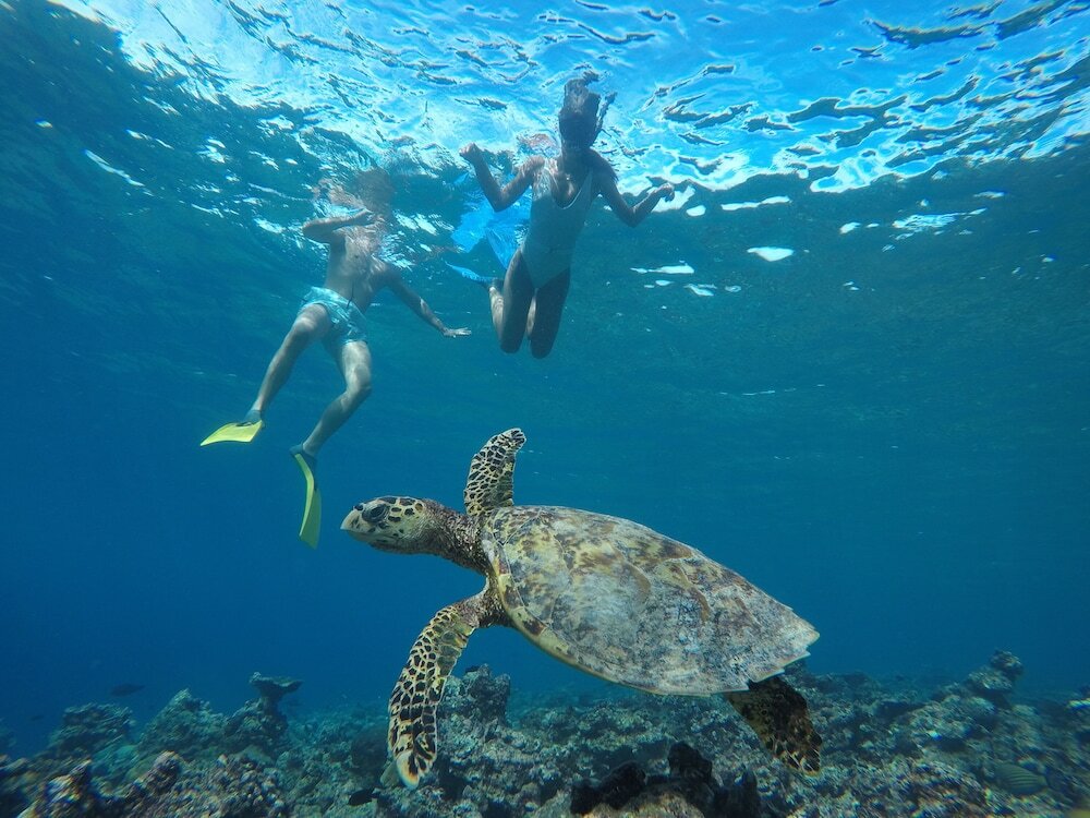 Фото The Barefoot Eco Hotel