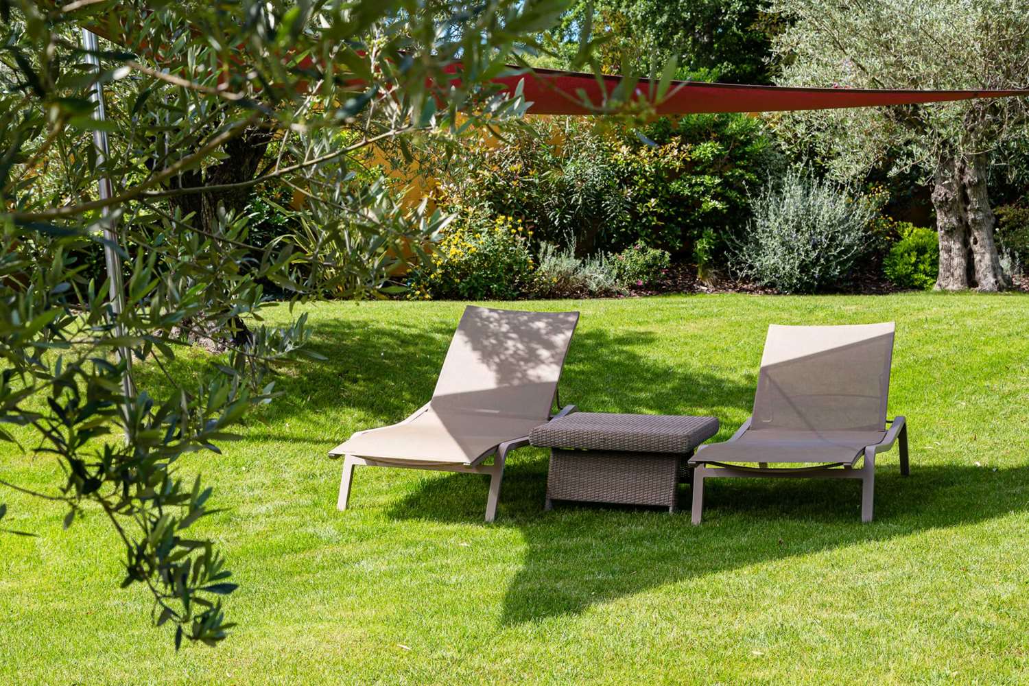 Фото 209358657567