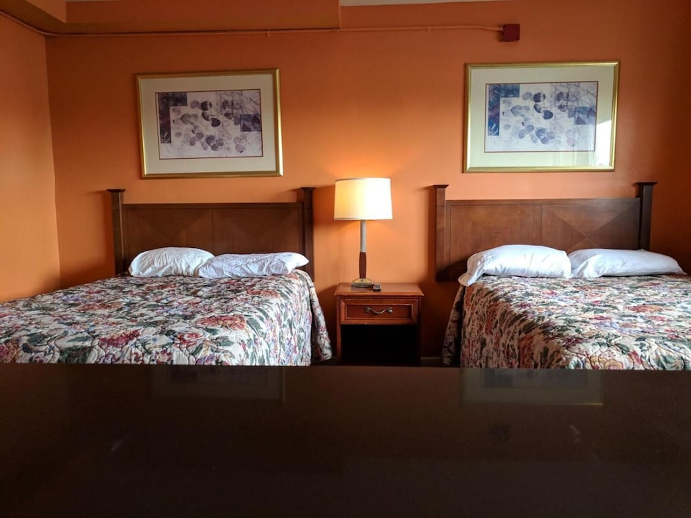 Фото Skylark Motel