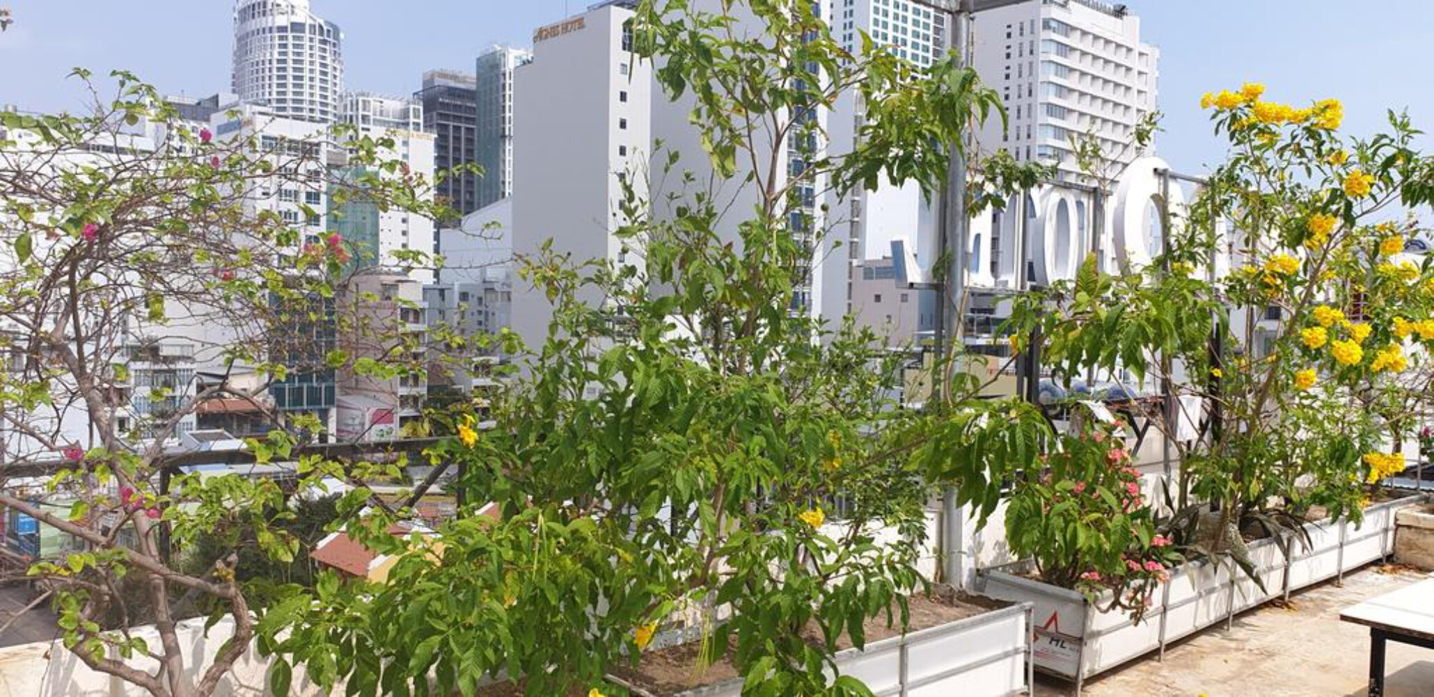 Фото отеля 4