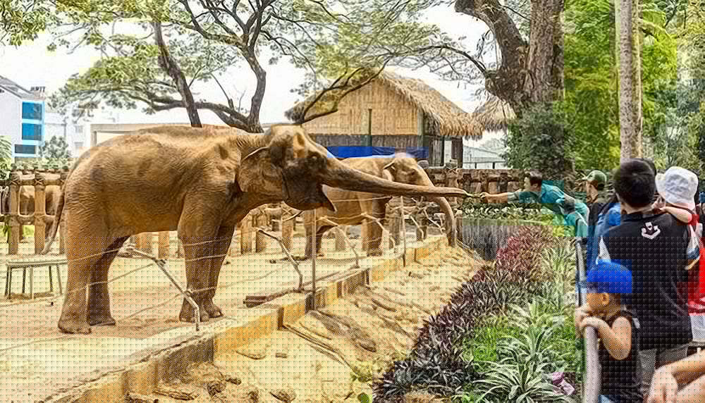 Фото Hong Vina Hotel