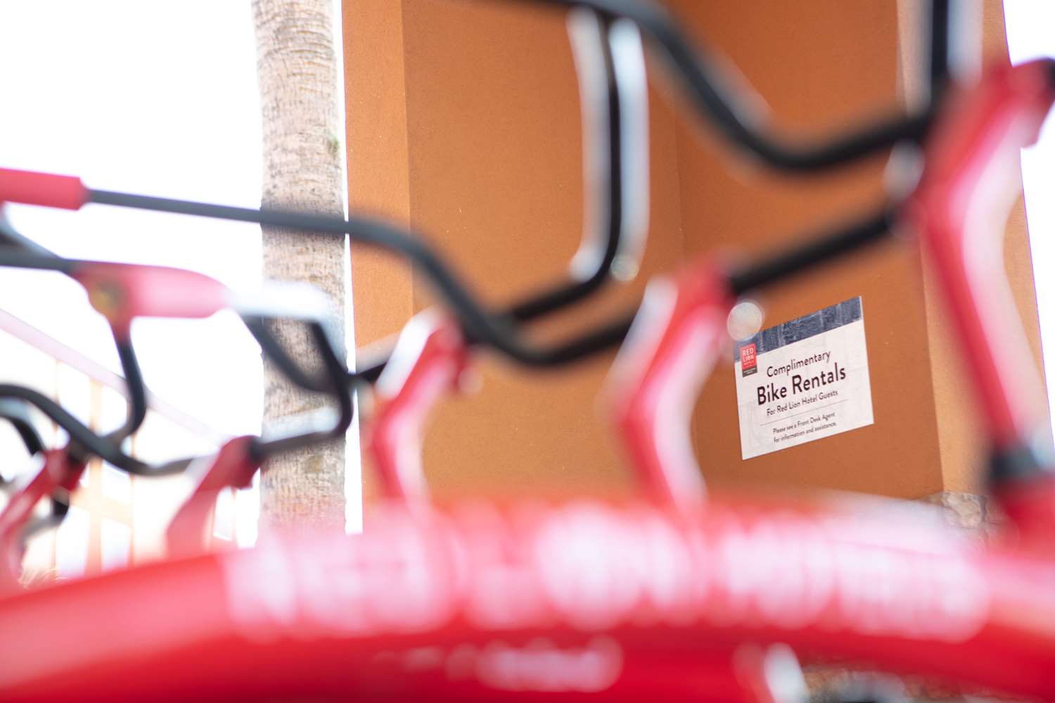 Фото Red Lion Hotel Orlando Lake Buena Vista South