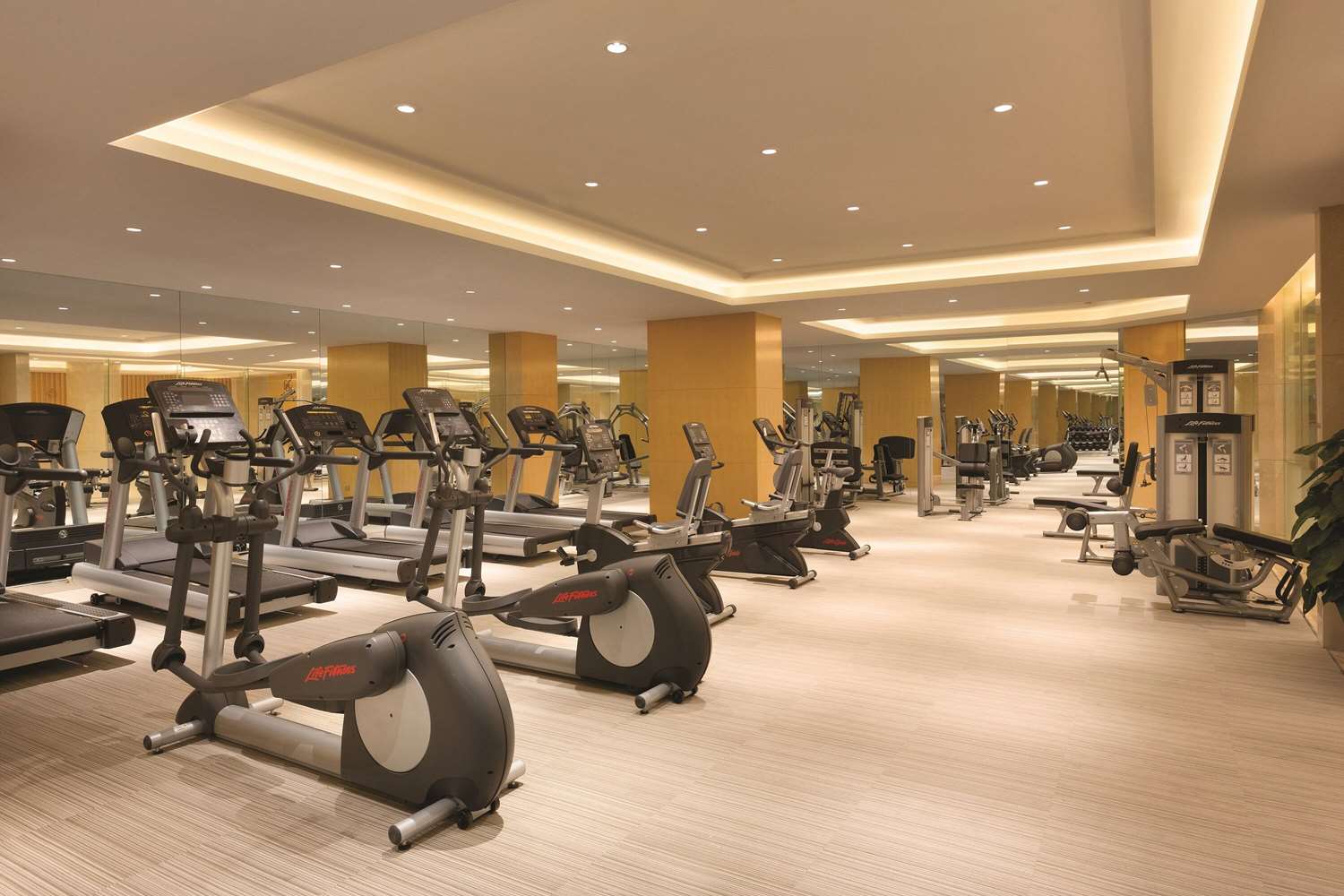 Фото Wyndham Urumqi North