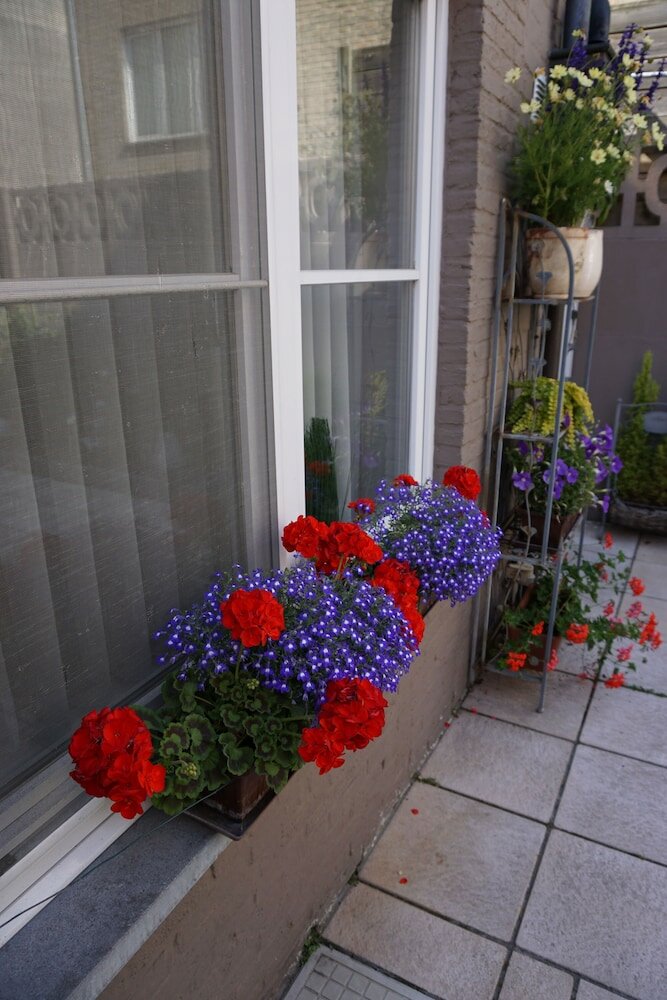 Фото Hotel Asiris