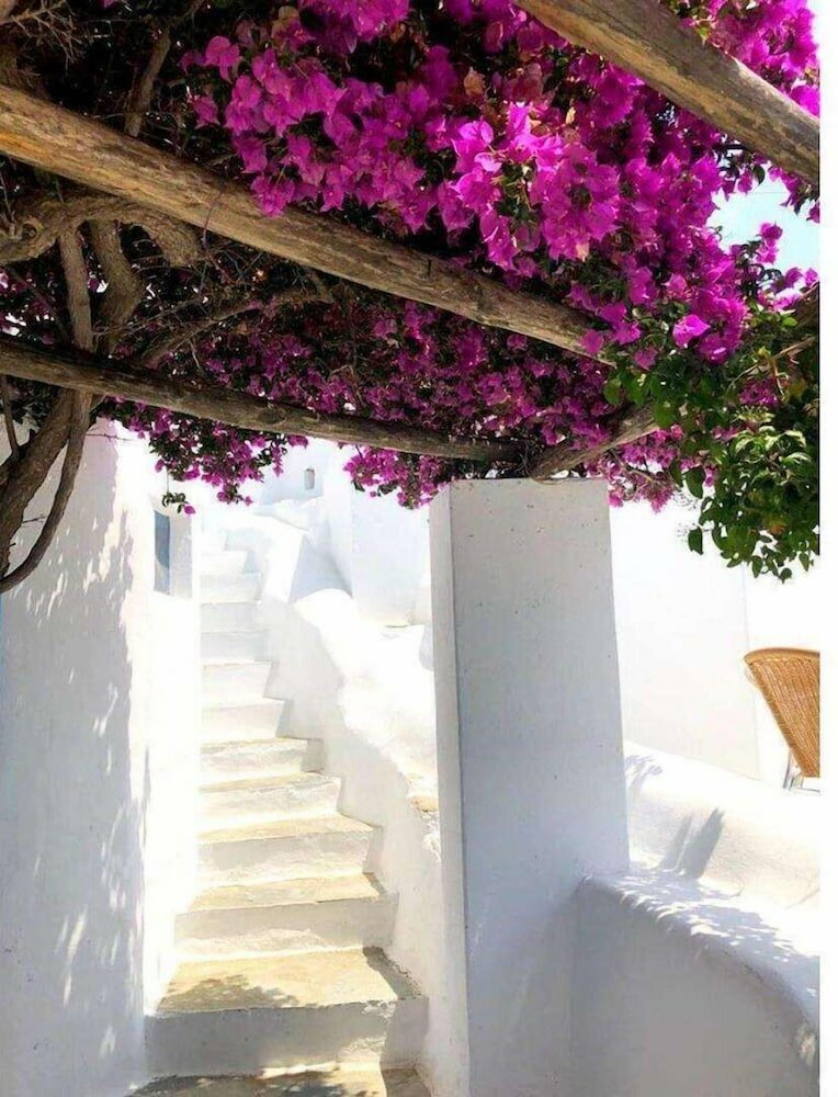 Фото Hotel Madalena