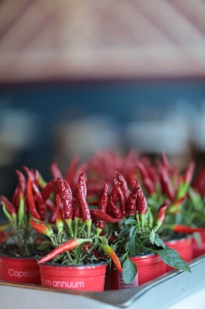 Фото Newmarket Ale House – Hotel & Restaurant