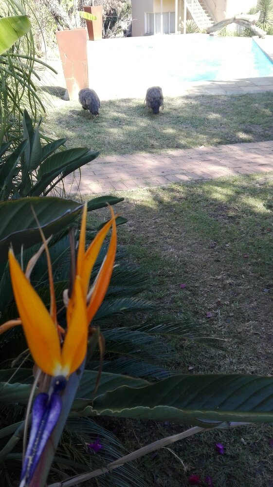 Фото Villa VIA - Midrand