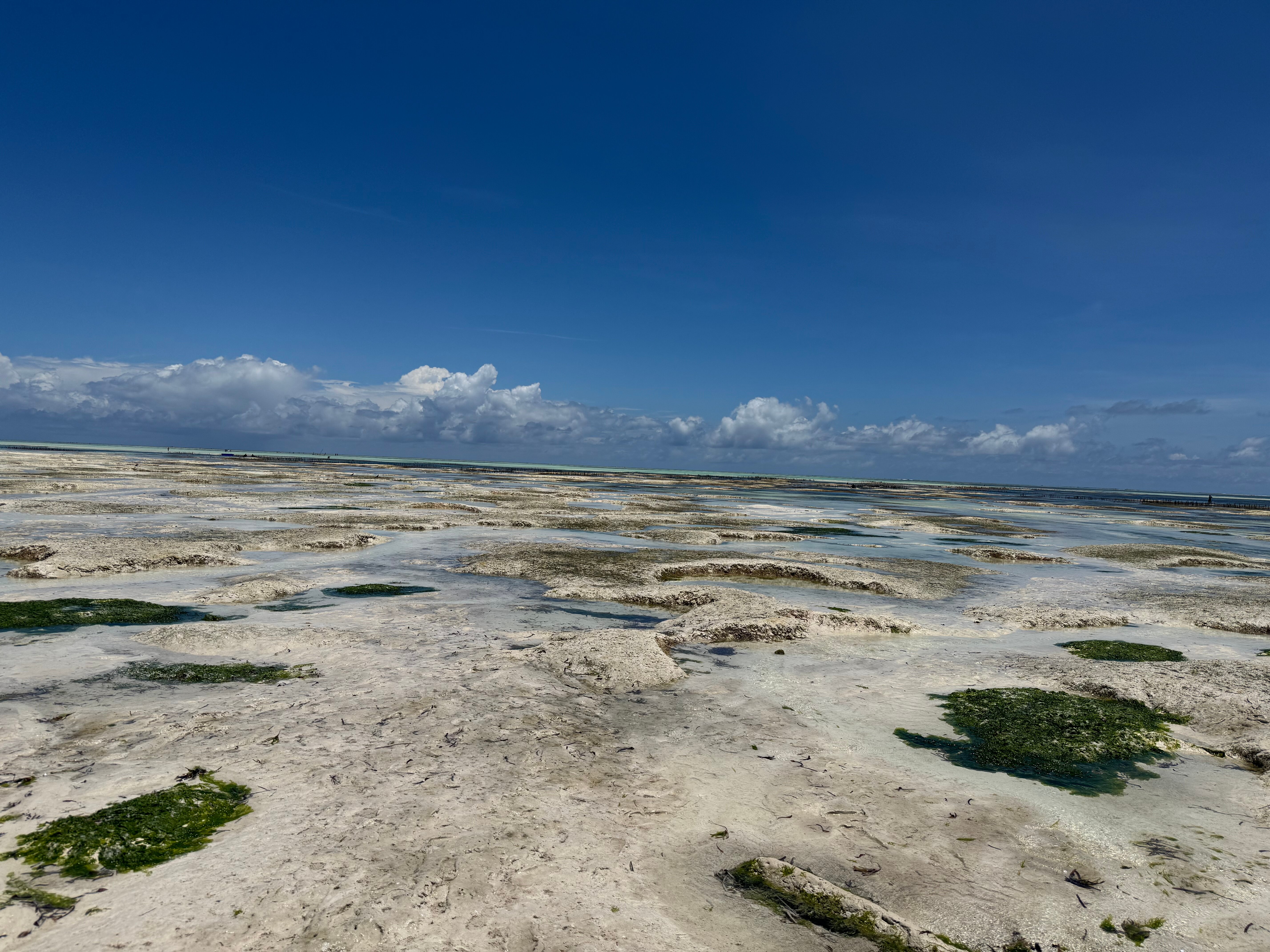 Фото Kivuli Beach Resort Paje