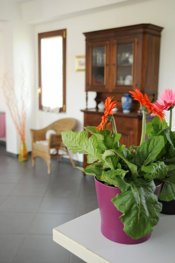 Фото La Circumetnea B&b