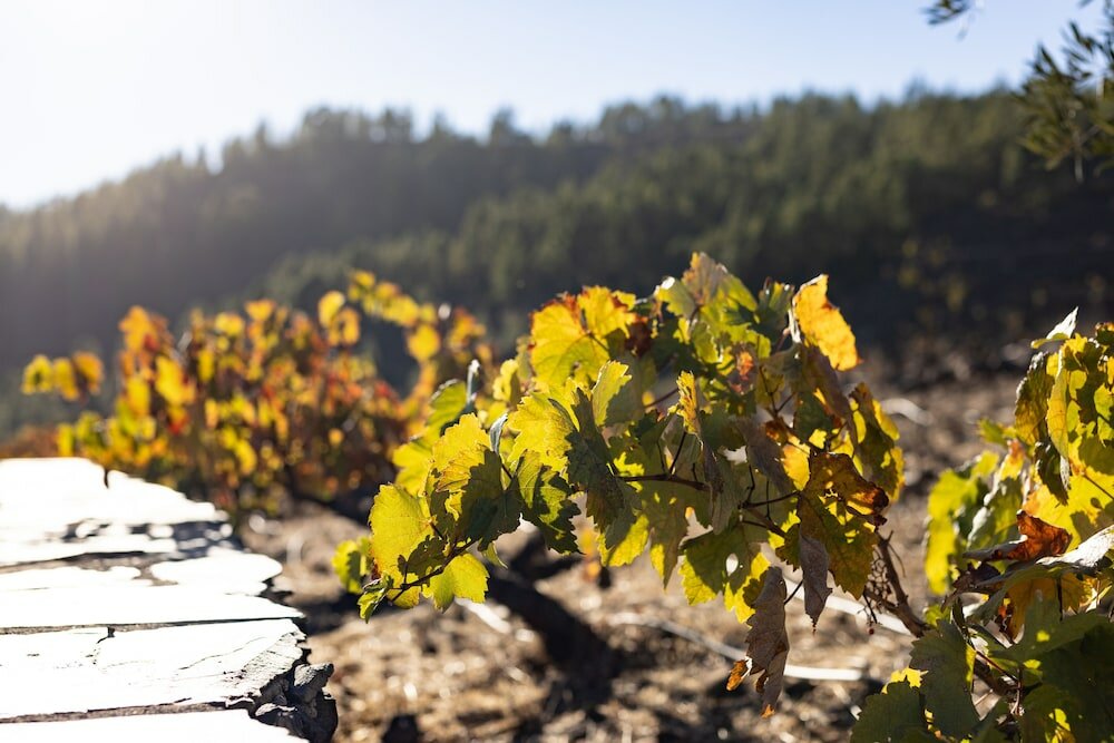 Фото Hotel Alta Montaña