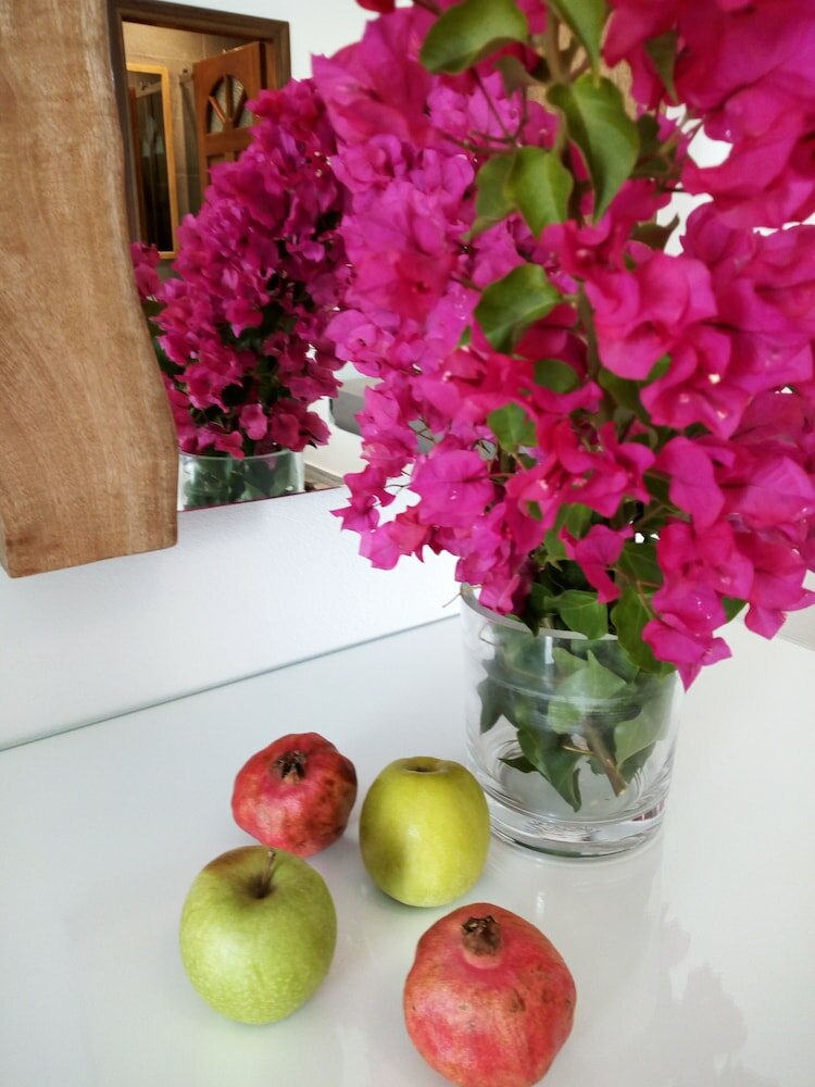 Фото Despina's Mare