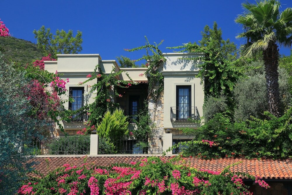 Фото Zeytinada Hotel