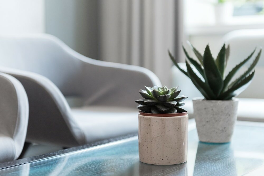 Фото Blandford Hotel