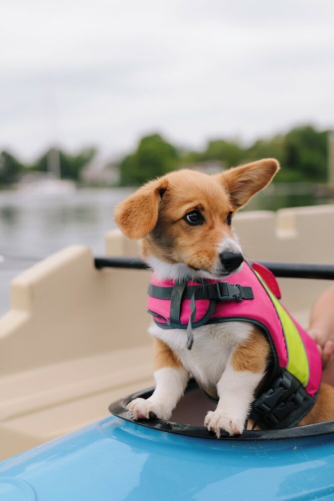 Фото The Tides Inn