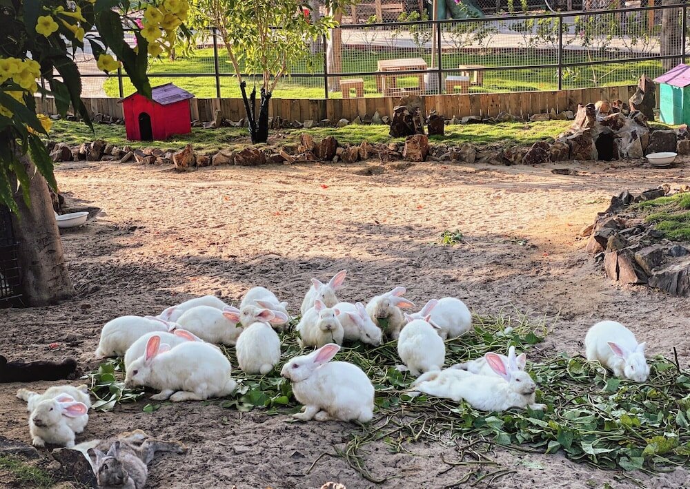 Фото Ttc Van Phong Bay Resort