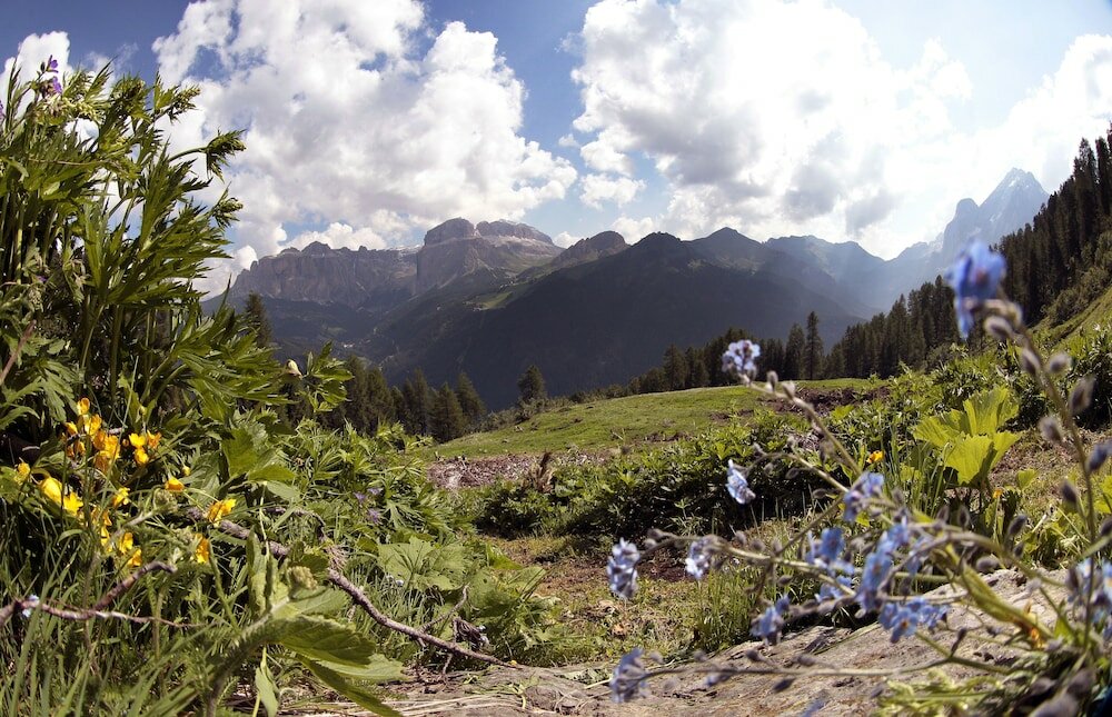 Фото Leading Relax Hotel Maria